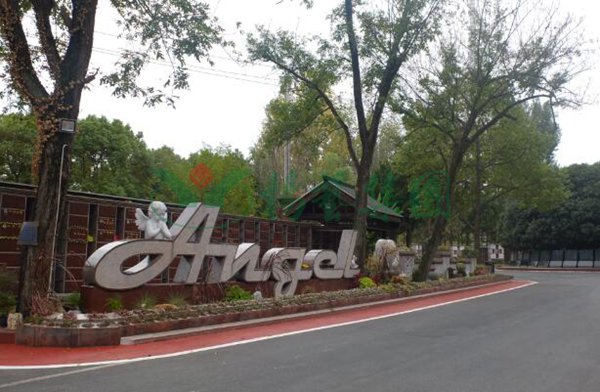 ng电子游戏·(中国区)官方网站