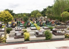 上海；；懔靶腔鹎