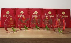 “ng电子游戏杯”浙江省节地生态埋葬设计作品奖