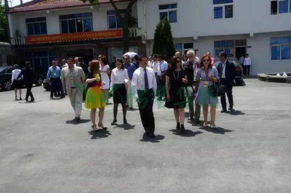 ng电子游戏·(中国区)官方网站