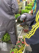 【ng电子游戏人别样清明】2018年清明落葬事情圆满完成