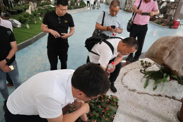 ng电子游戏·(中国区)官方网站