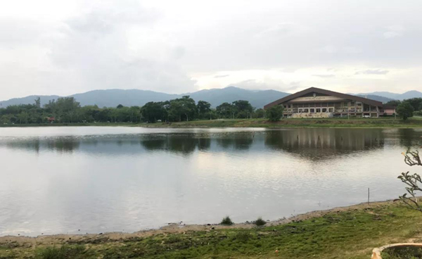 ng电子游戏·(中国区)官方网站