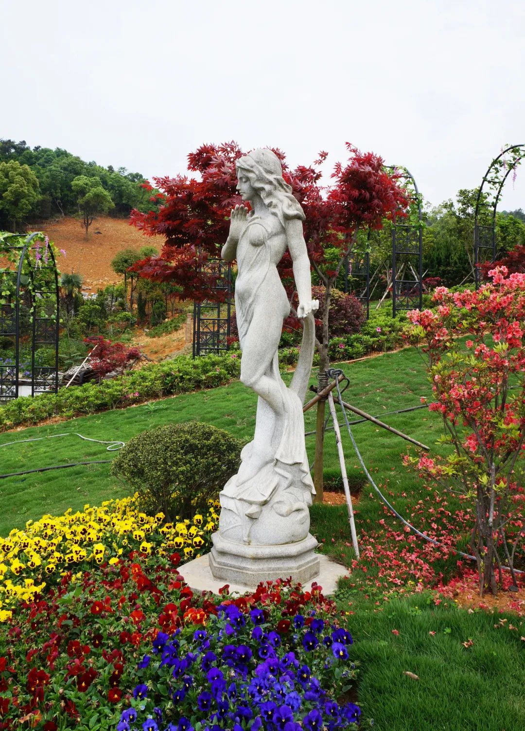 ng电子游戏·(中国区)官方网站