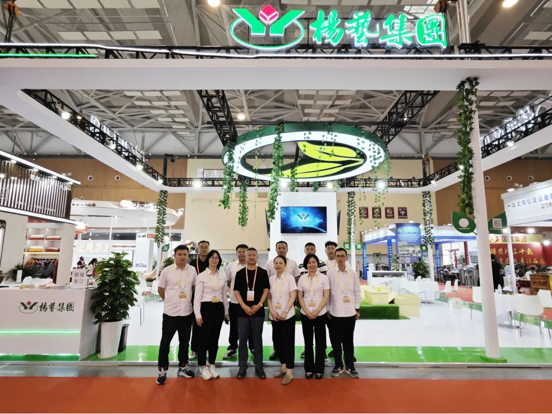 <b>ng电子游戏青岛展会回首|感恩遇见 不负期待</b>