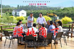 《樱桃崮下》给ng电子游戏的启发