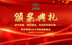 2024年ng电子游戏集团迎新春年会暨颁奖仪式盛放纵行