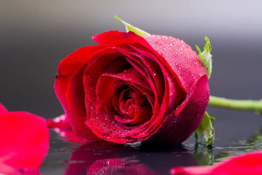 女神节 | 致敬“她”实力，，，，，共筑优美未来