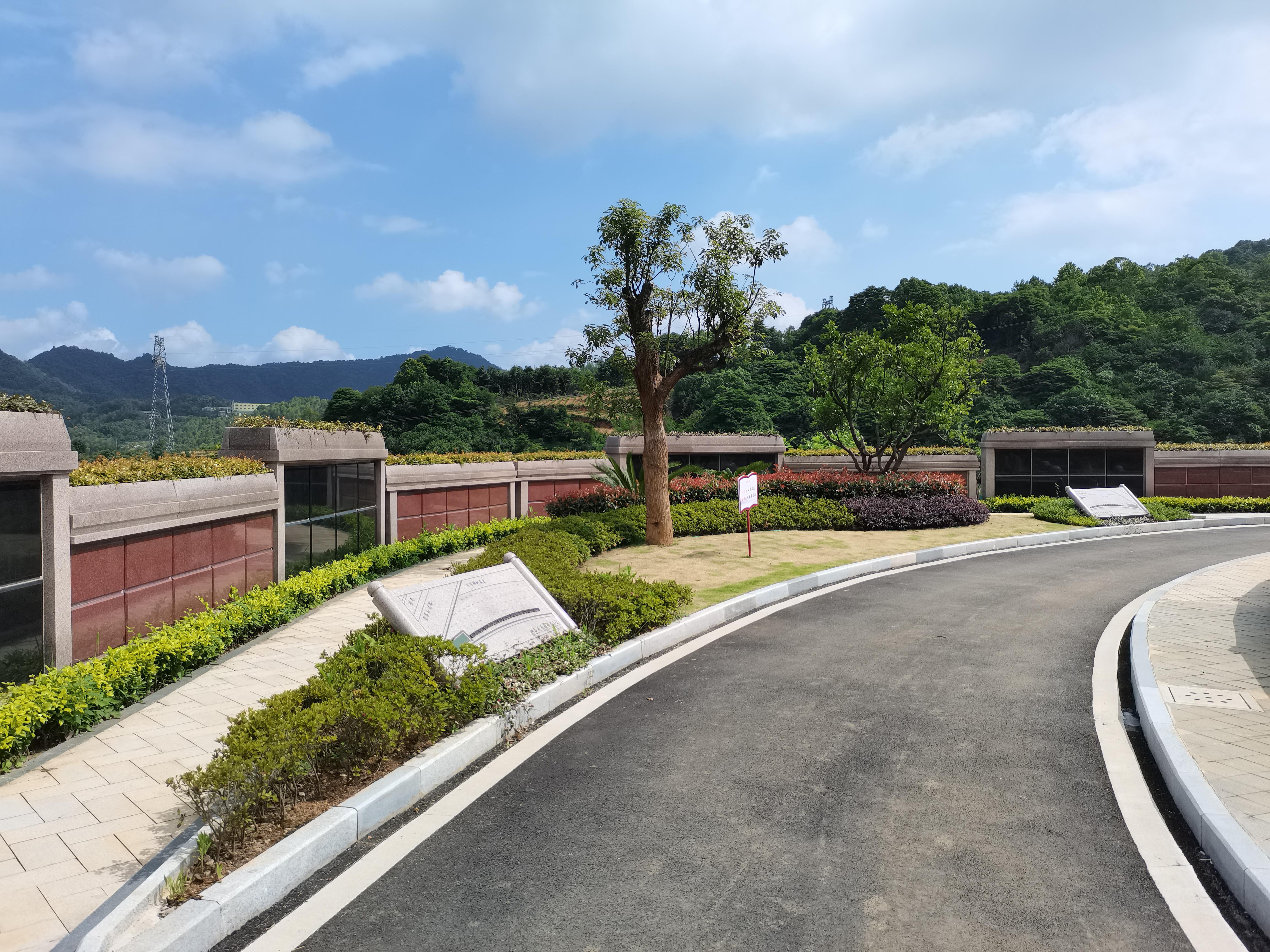 海葬和树葬哪个好？？？？？？？两种生态葬祭方法的选择与意义