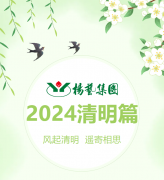 风起清明 遥寄相思|ng电子游戏集团?2024清明篇