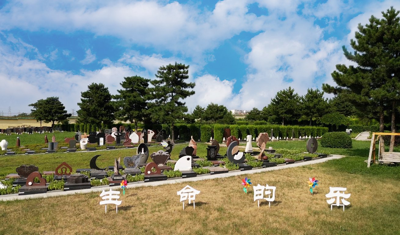 共赢之道：ng电子游戏集团BOT相助模式的优势与效益剖析