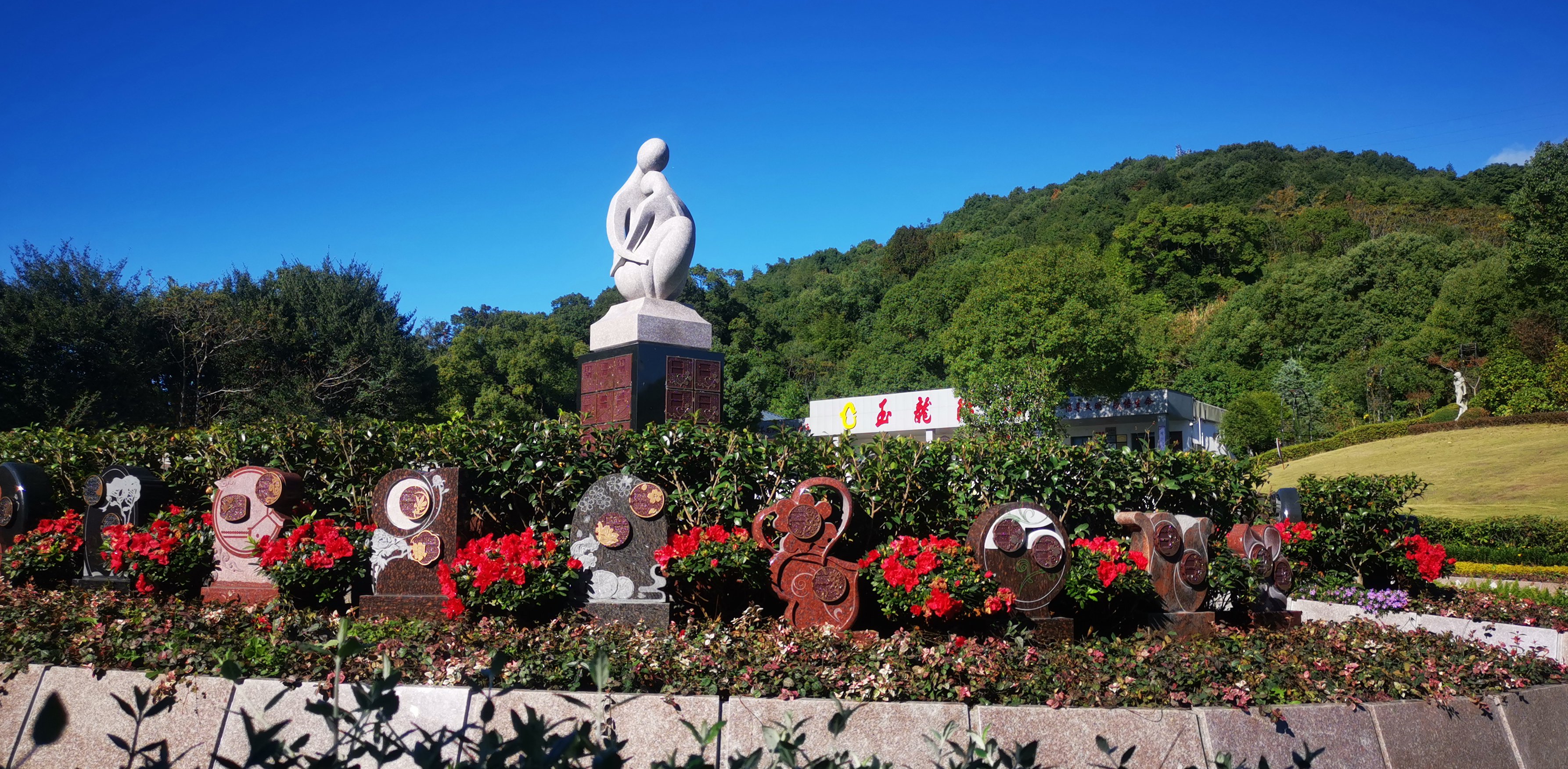 未来，，，，，生态葬或将成为主流