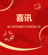 喜讯 | 浙江ng电子游戏再获ISO系统双认证