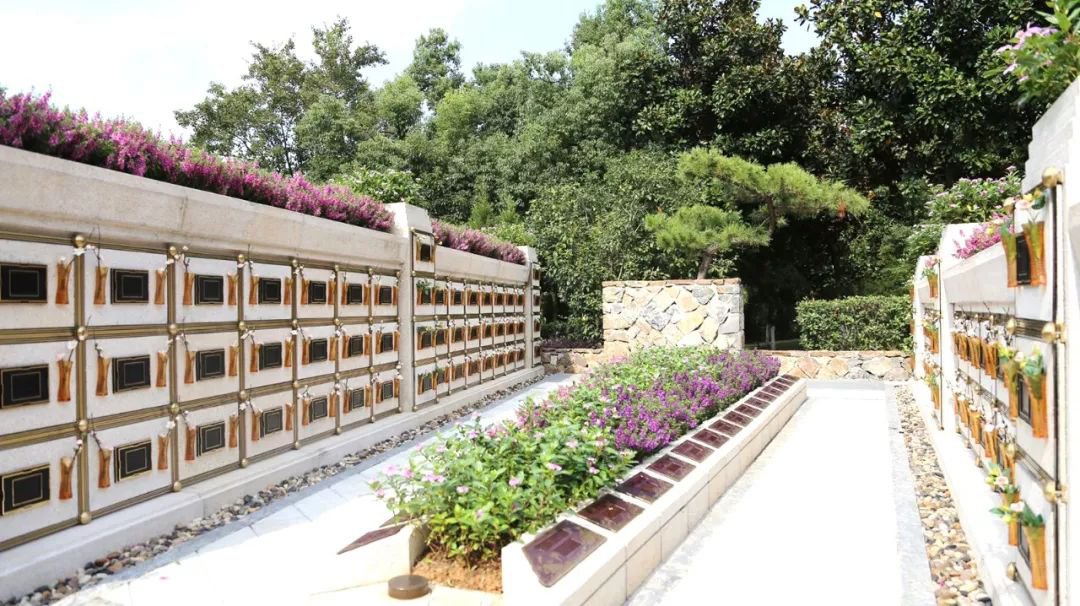 <b>在合肥大蜀山文化陵园，，，与生命温柔对话</b>