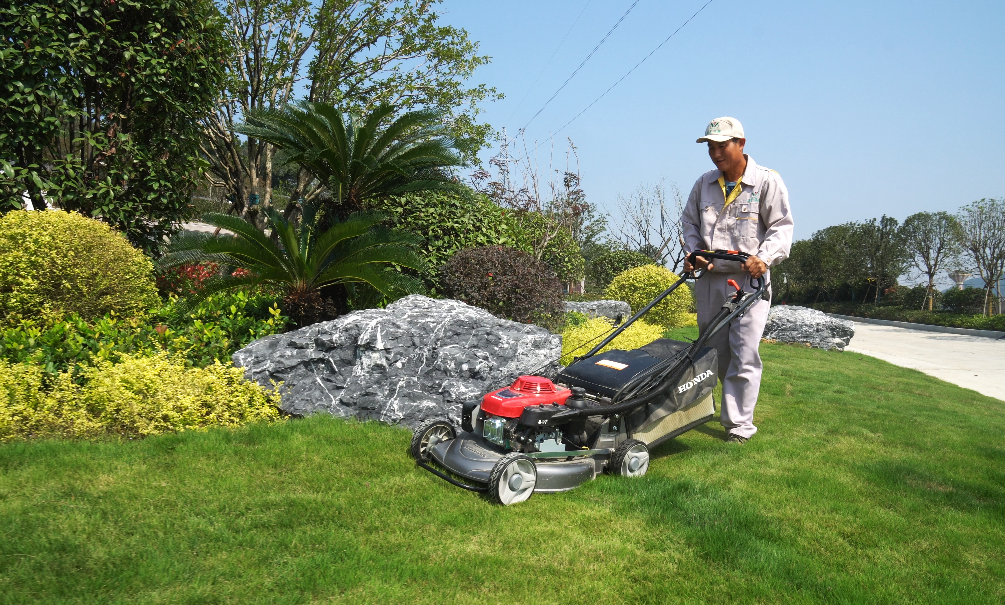 ng电子游戏·(中国区)官方网站