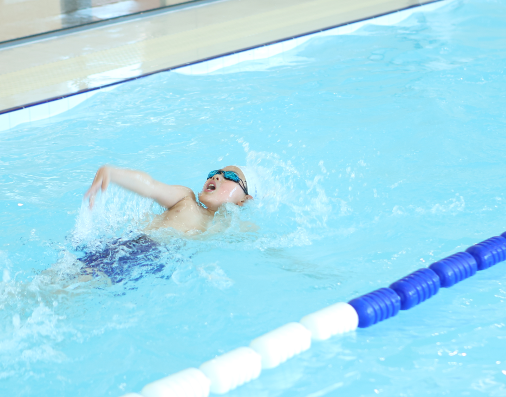 ng电子游戏·(中国区)官方网站