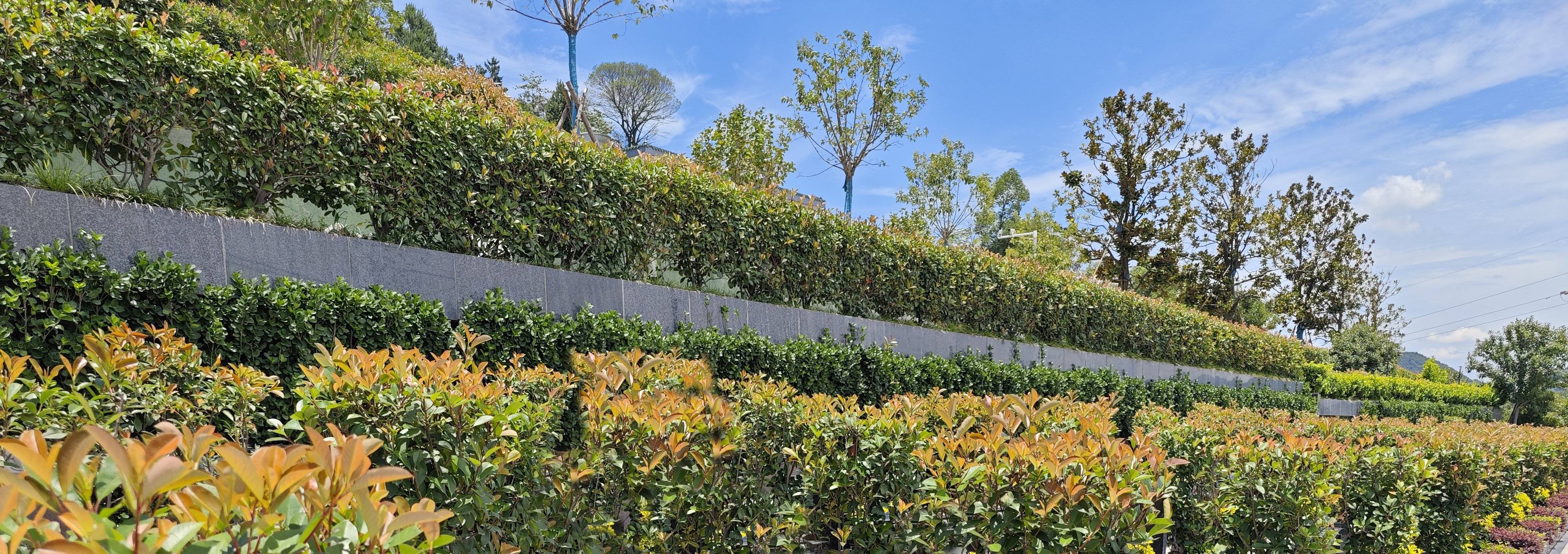 ng电子游戏·(中国区)官方网站