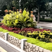 无机仿真石花箱：以永恒之名，，，塑未来之境